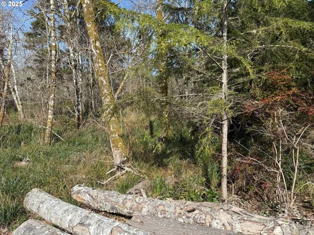 Spruce Dr, Seaside, OR 97138
