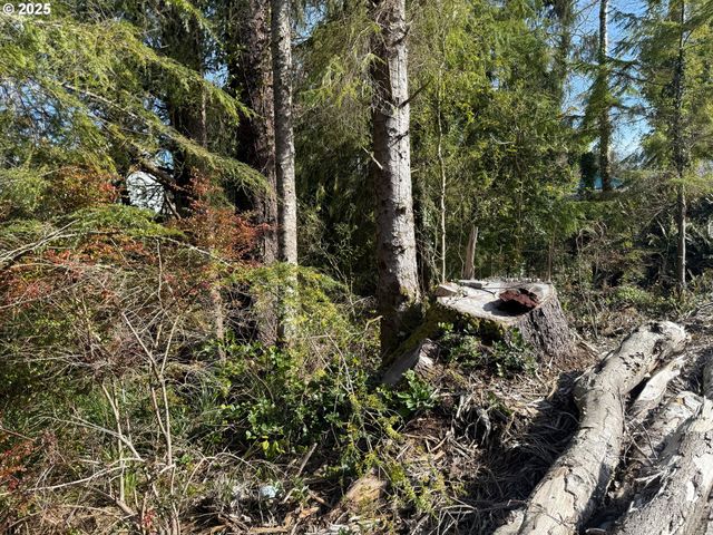 Spruce Dr, Seaside, OR 97138