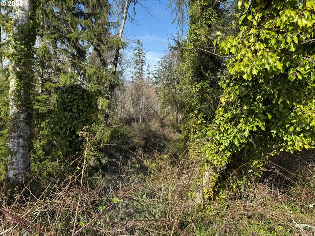 Spruce Dr, Seaside, OR 97138