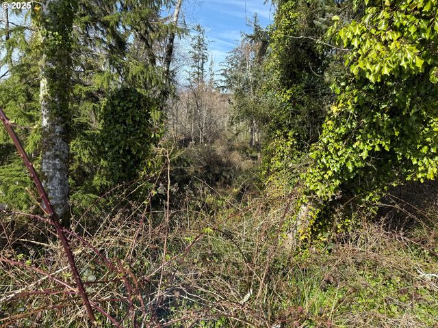 Spruce Dr, Seaside, OR 97138