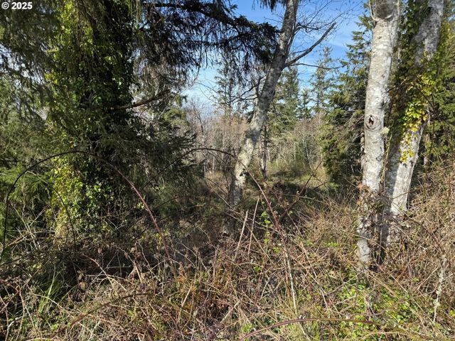 Spruce Dr, Seaside, OR 97138