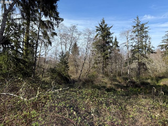 Spruce Dr, Seaside, OR 97138