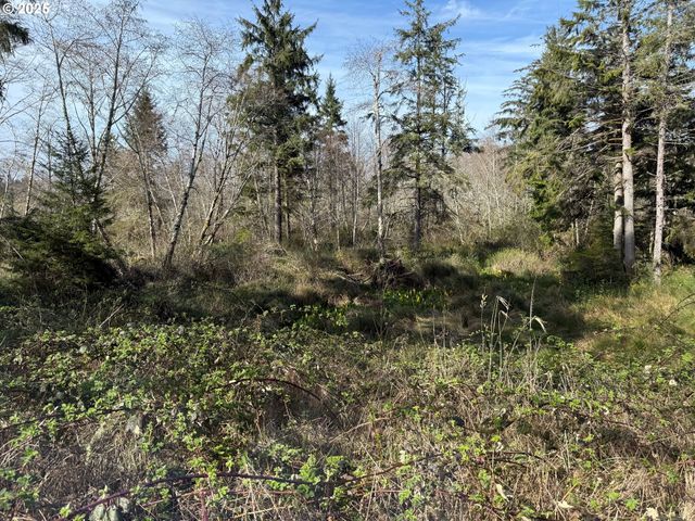 Spruce Dr, Seaside, OR 97138