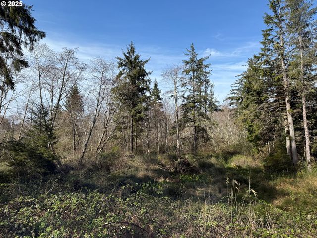 Spruce Dr, Seaside, OR 97138