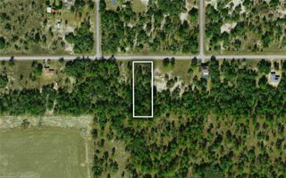 TBD TIGER LAKE BOULEVARD, Dunnellon, FL 34431
