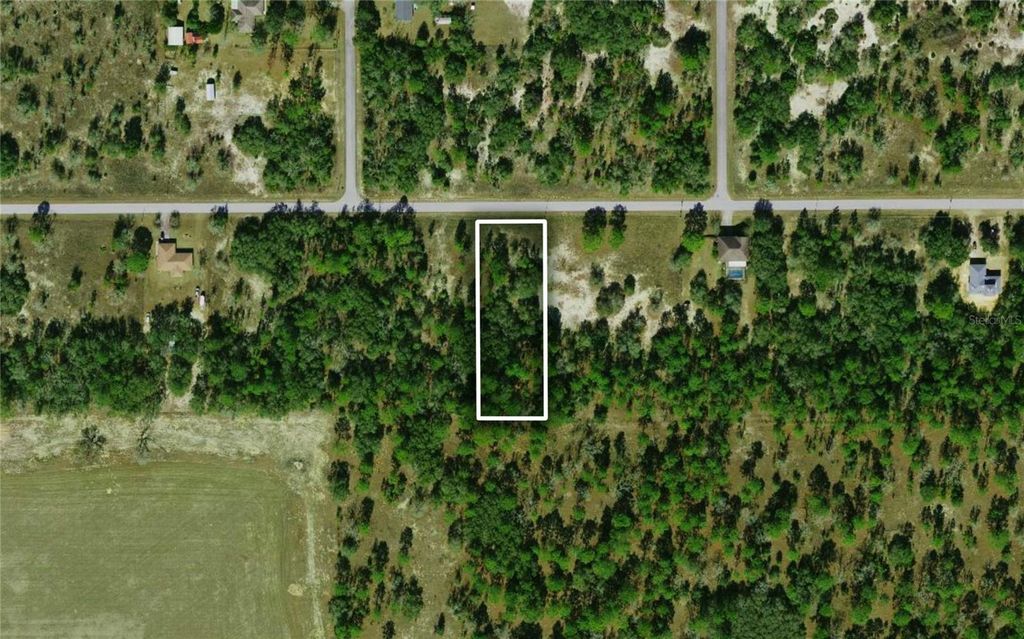 TBD TIGER LAKE BOULEVARD, Dunnellon, FL 34431