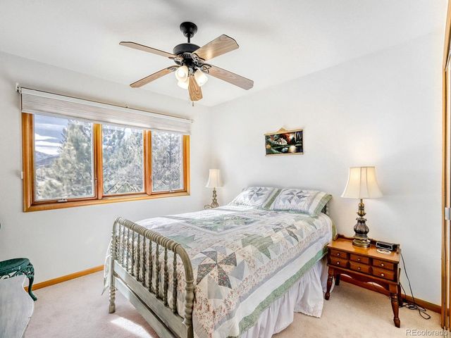 1437 Raven Cir 1-D, Estes Park, CO 80517