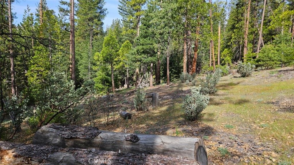 Image 66 of property listing at 46336 Silvertip, North Fork, CA 93643