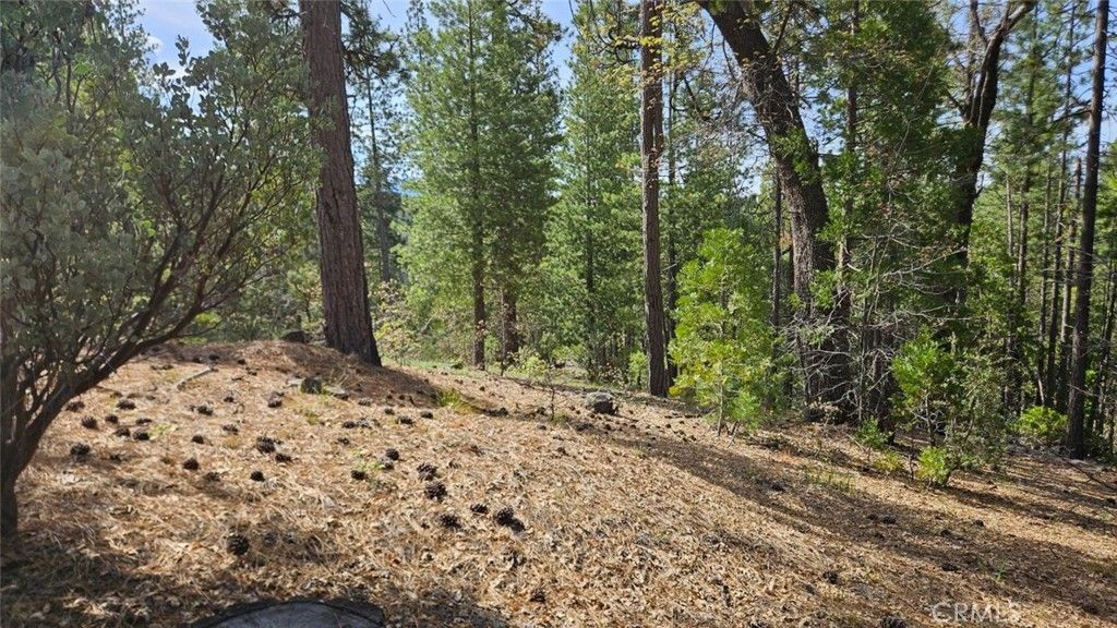 Image 68 of property listing at 46336 Silvertip, North Fork, CA 93643