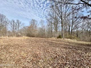 0 Tolbert Road, Coldwater, MS 38618