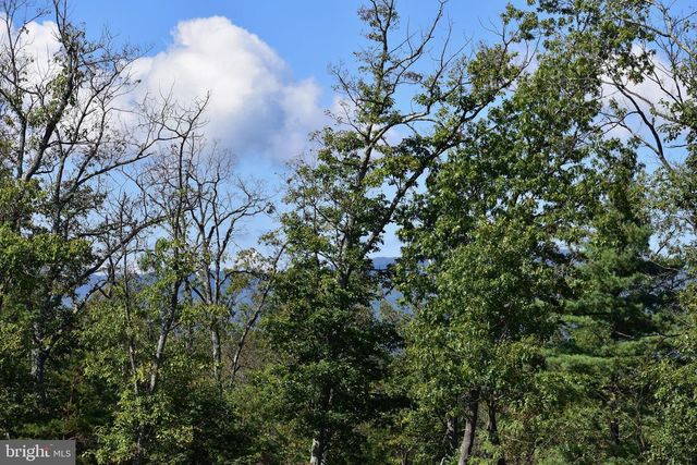 158.5 ACRES LOT 3 LAUREL GROVE RD., Winchester, VA 22602