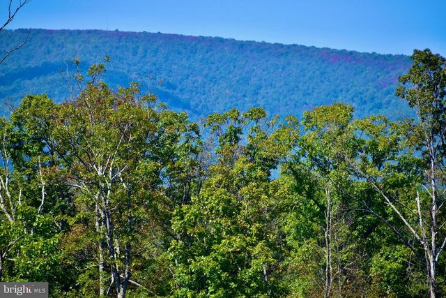 158.5 ACRES LOT 3 LAUREL GROVE RD., Winchester, VA 22602