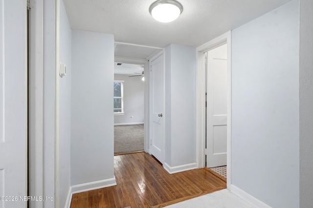 8206 CONCORD Boulevard W, Jacksonville, FL 32208