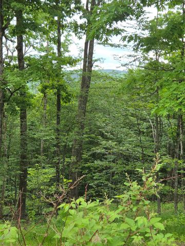 1046 Kings Highway, Stoddard, NH 03464