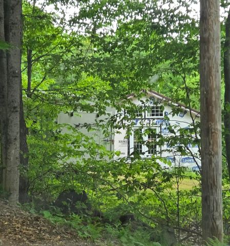 1046 Kings Highway, Stoddard, NH 03464