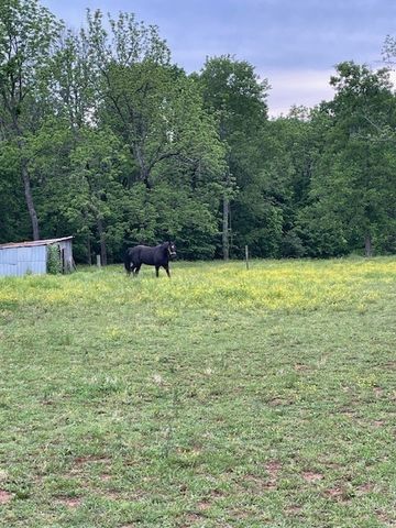 4870 Haley Ln, Columbia, TN 38401