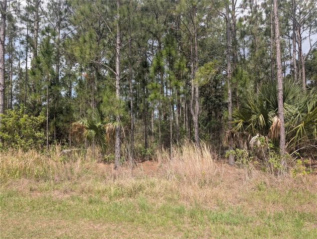 25 AMARYLLIS DRIVE, Indian Lake Estates, FL 33855