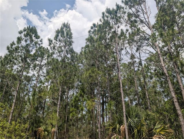 25 AMARYLLIS DRIVE, Indian Lake Estates, FL 33855