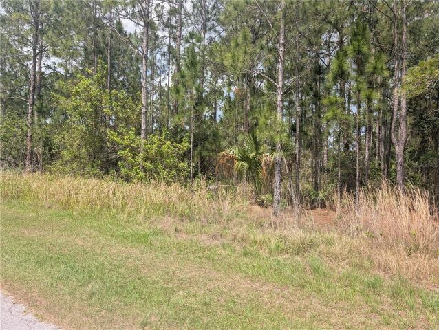 25 AMARYLLIS DRIVE, Indian Lake Estates, FL 33855