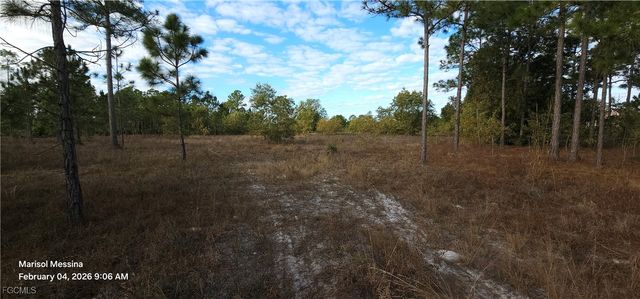 1116 Columbus AVE, Lehigh Acres, FL 33972