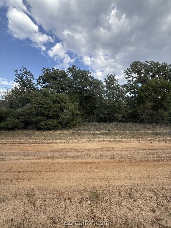 TBD Holly Springs Drive, Hilltop Lakes, TX 77871 — photo 2
