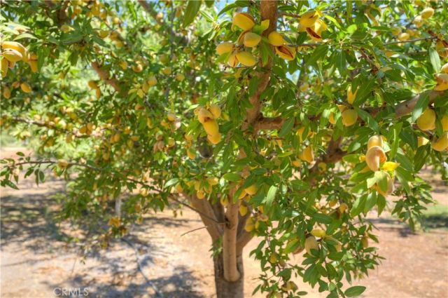 10197 Lott Road, Durham, CA 95938