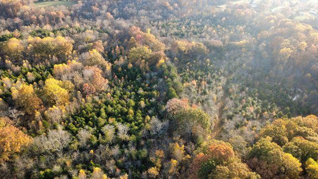 3941 Baggett Rd, Springfield, TN 37172