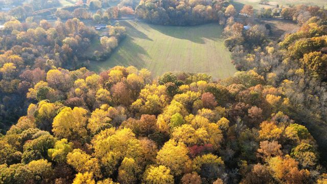 3941 Baggett Rd, Springfield, TN 37172