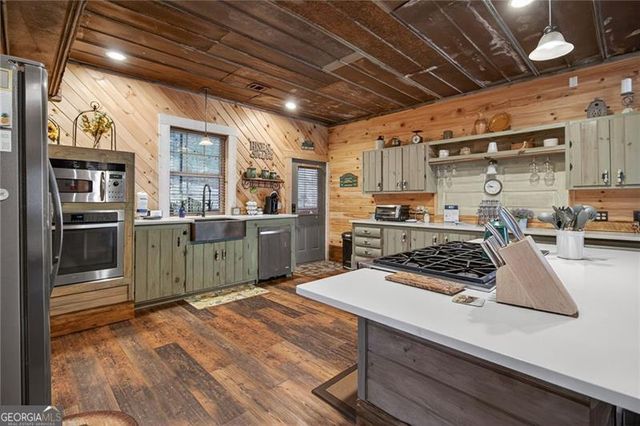 110 Old Indian Trail, Blue Ridge, GA 30513