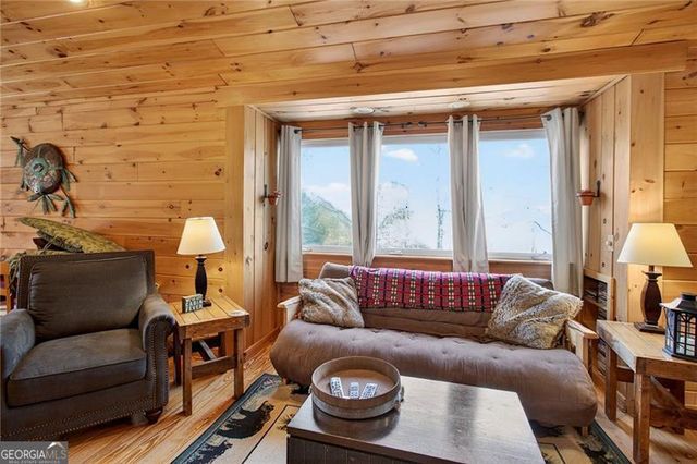 110 Old Indian Trail, Blue Ridge, GA 30513