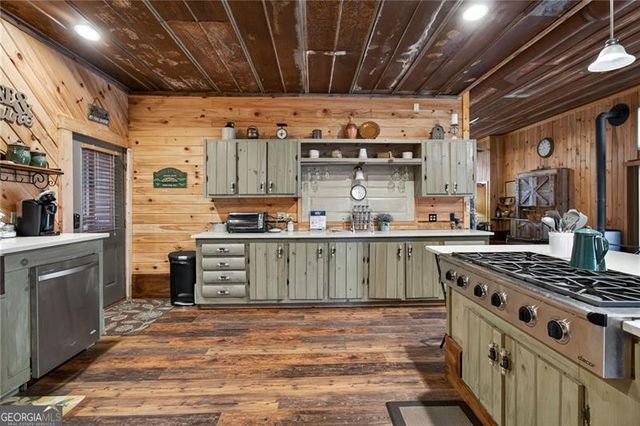 110 Old Indian Trail, Blue Ridge, GA 30513