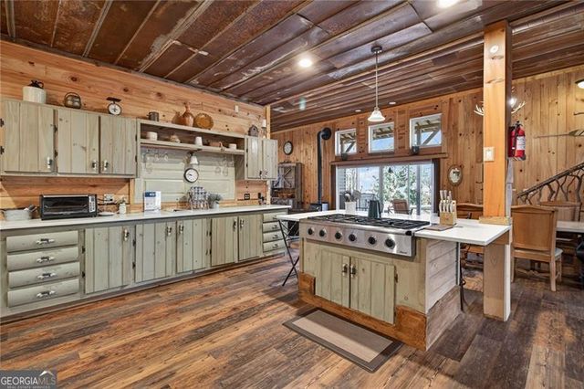 110 Old Indian Trail, Blue Ridge, GA 30513