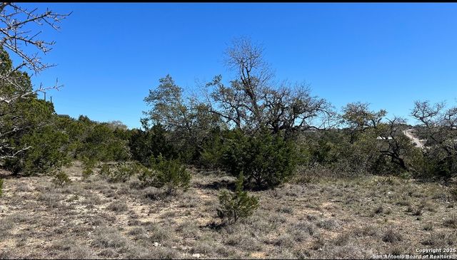 562 Prairie Tea, Canyon Lake, TX 78133