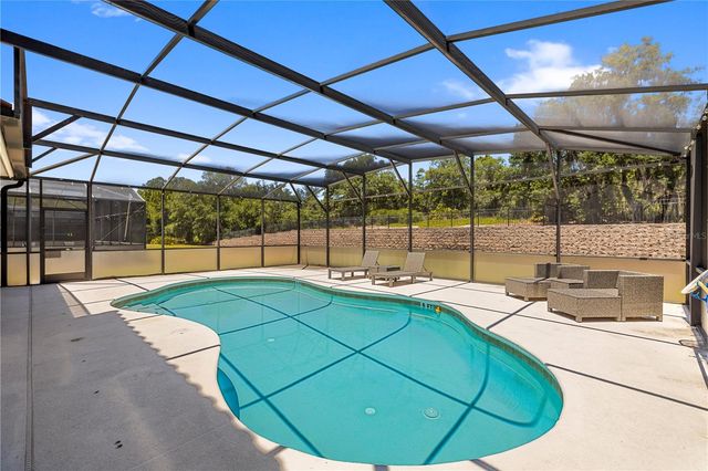 436 ORANGE COSMOS BOULEVARD, Davenport, FL 33837