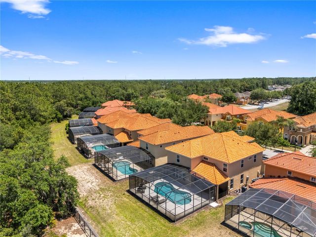 436 ORANGE COSMOS BOULEVARD, Davenport, FL 33837