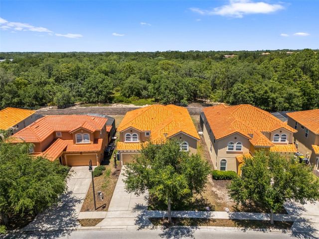 436 ORANGE COSMOS BOULEVARD, Davenport, FL 33837