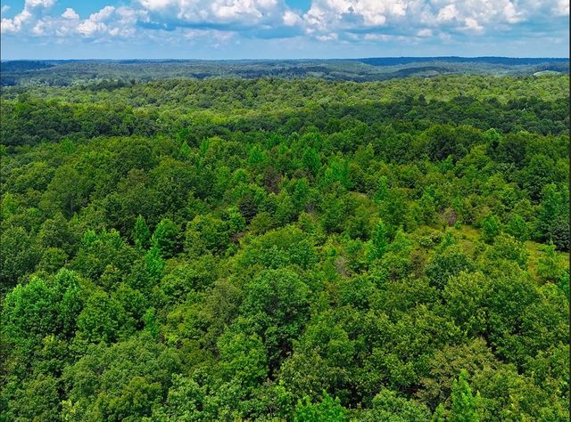 0 Shores Trail, Stewart, TN 37175