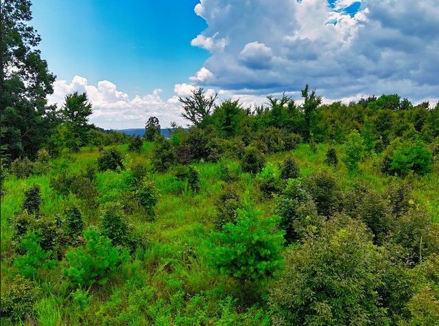 0 Shores Trail, Stewart, TN 37175