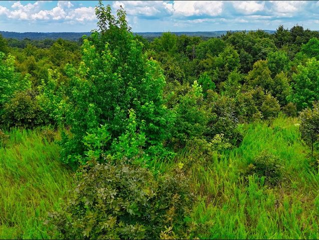 0 Shores Trail, Stewart, TN 37175