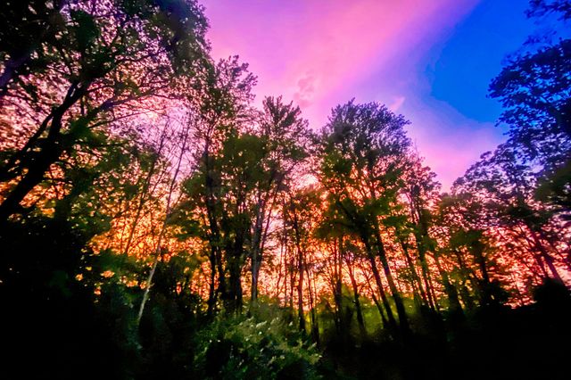 17220 Valley Drive, Big Rapids, MI 49307