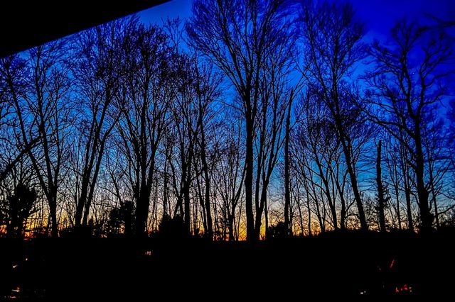 17220 Valley Drive, Big Rapids, MI 49307