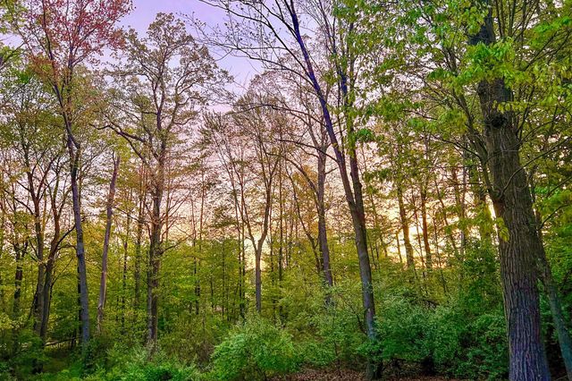 17220 Valley Drive, Big Rapids, MI 49307