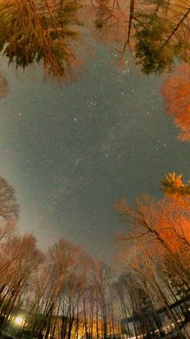 17220 Valley Drive, Big Rapids, MI 49307