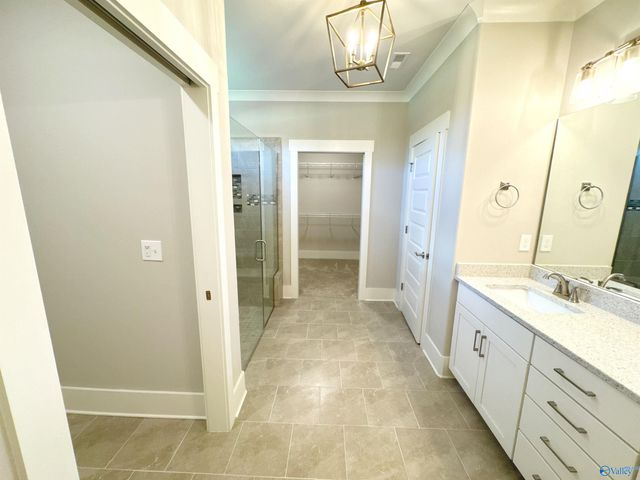 9574 Abington Cove Boulevard, Madison, AL 35757