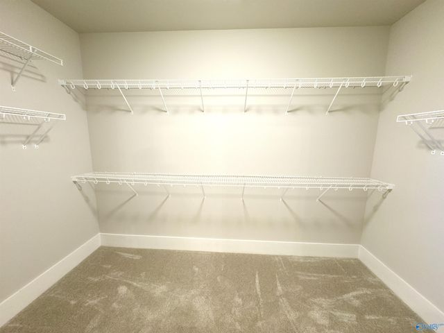 9574 Abington Cove Boulevard, Madison, AL 35757