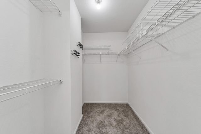 9850 Pagewood Lane 1304, Houston, TX 77042