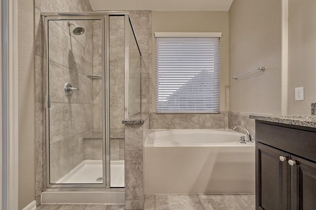 130 Berlandier Ash Court, Montgomery, TX 77316