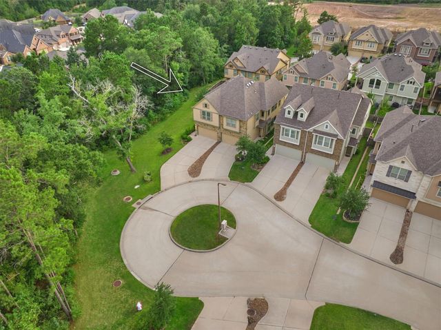 130 Berlandier Ash Court, Montgomery, TX 77316