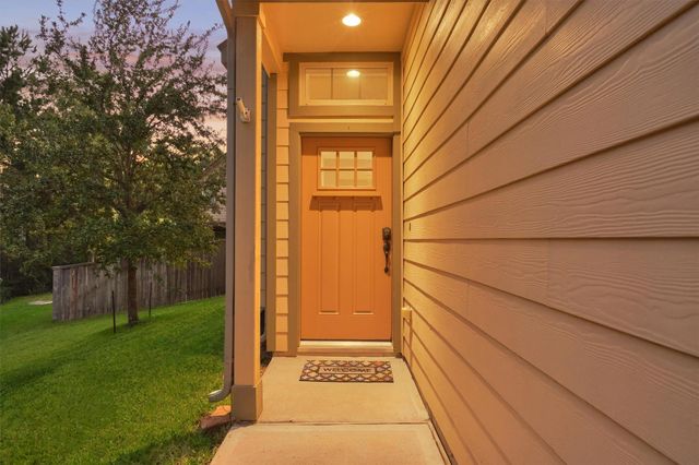 130 Berlandier Ash Court, Montgomery, TX 77316