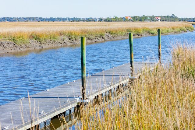 1726 Vireo Court, Johns Island, SC 29455